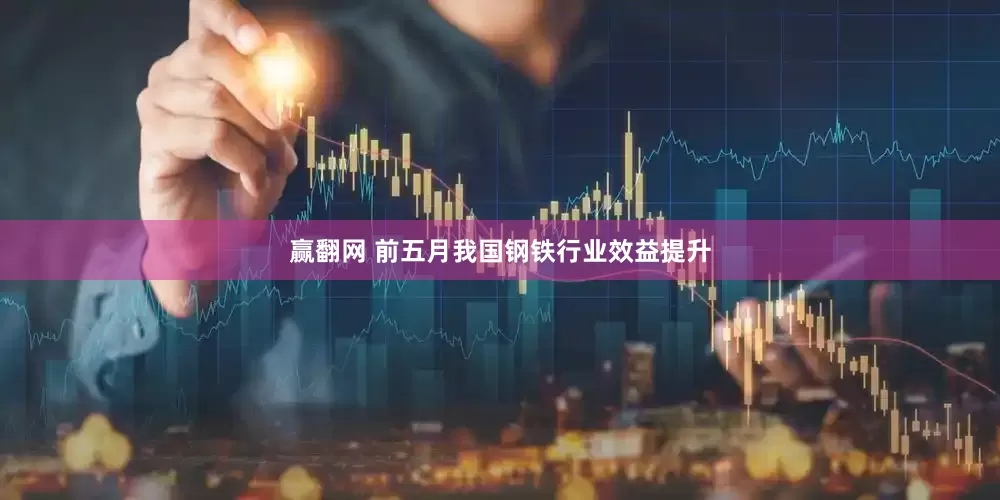赢翻网 前五月我国钢铁行业效益提升