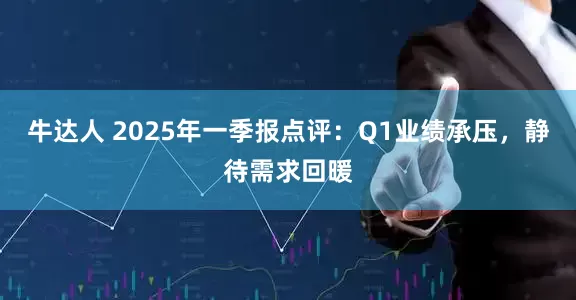 牛达人 2025年一季报点评：Q1业绩承压，静待需求回暖
