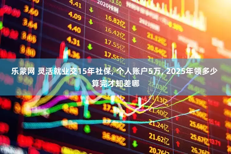 乐蒙网 灵活就业交15年社保, 个人账户5万, 2025年领多少 算完才知差哪